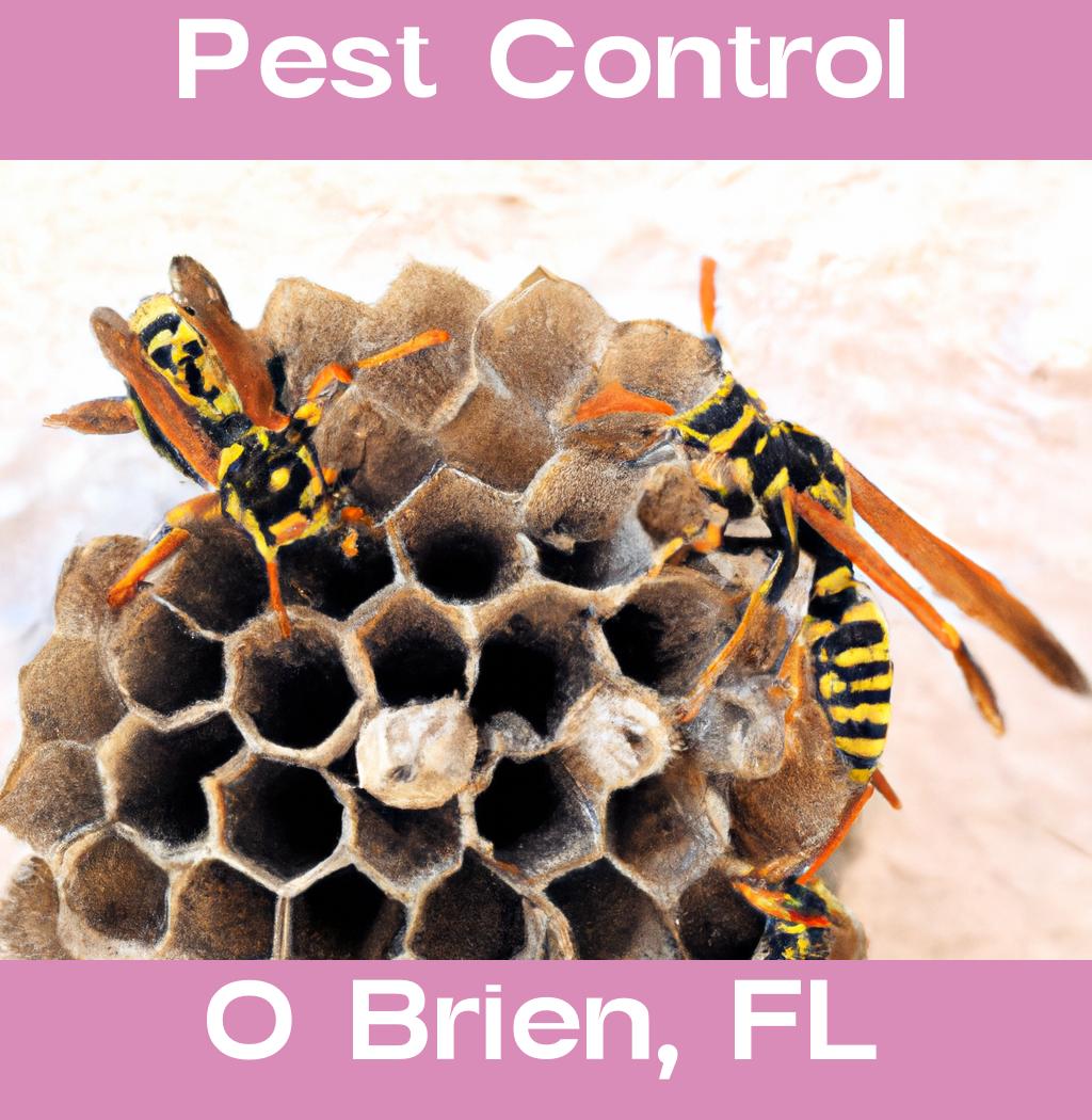 pest control in O Brien Florida