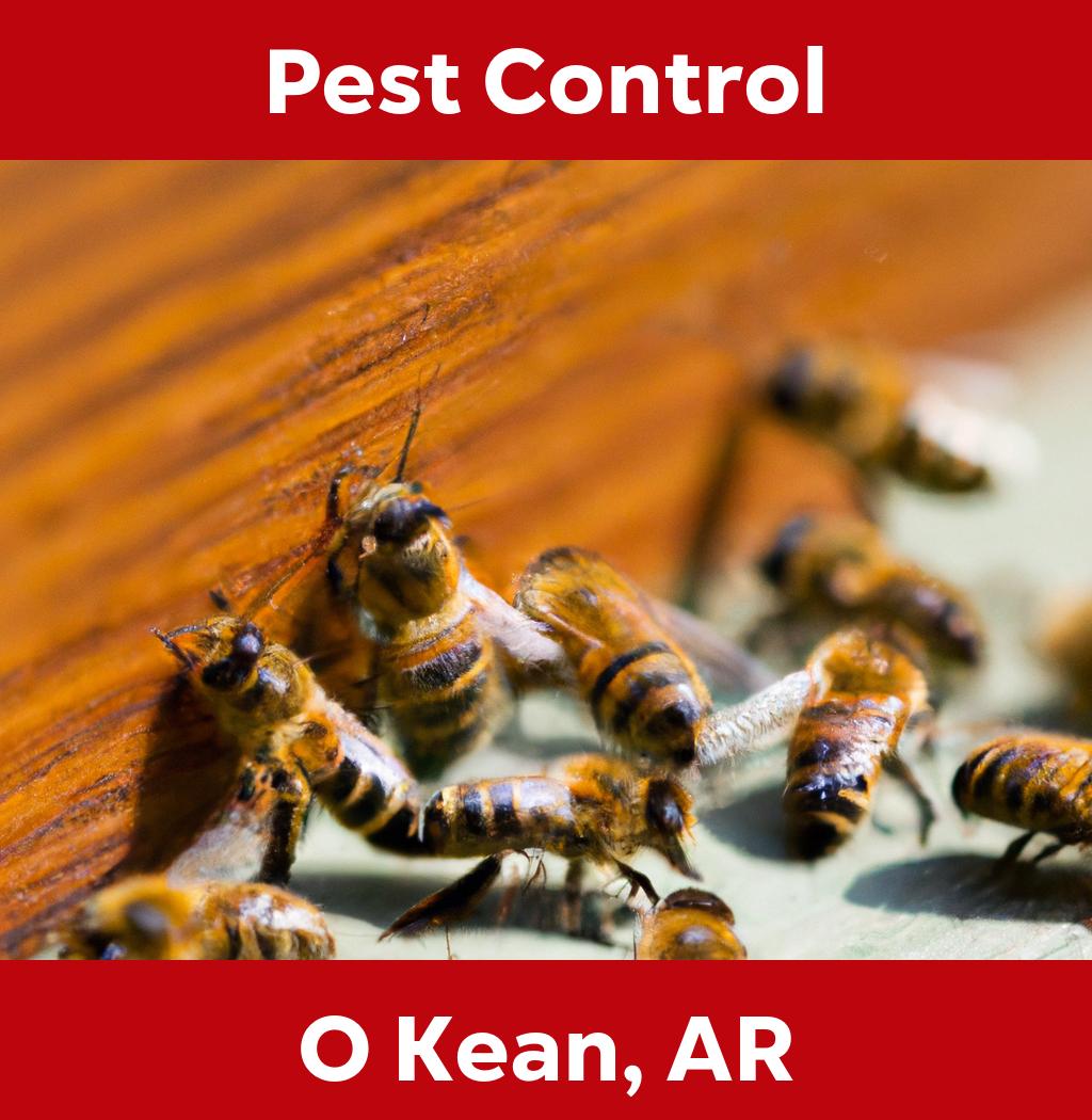 pest control in O Kean Arkansas