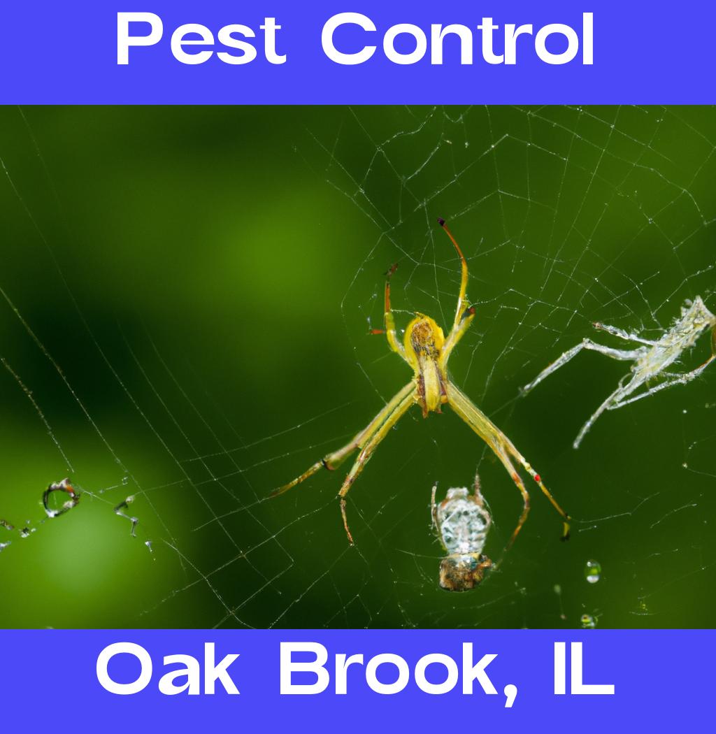 pest control in Oak Brook Illinois