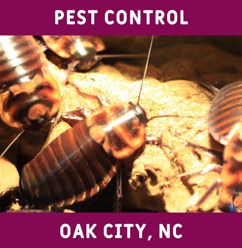 pest control in Oak City North Carolina