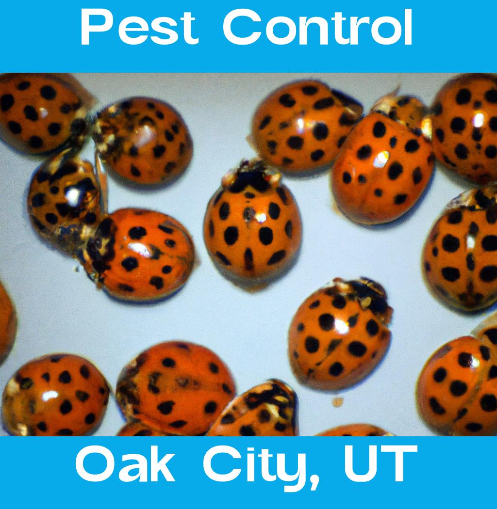 pest control in Oak City Utah