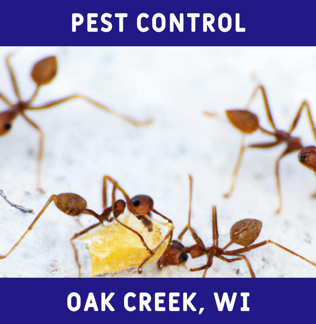 pest control in Oak Creek Wisconsin