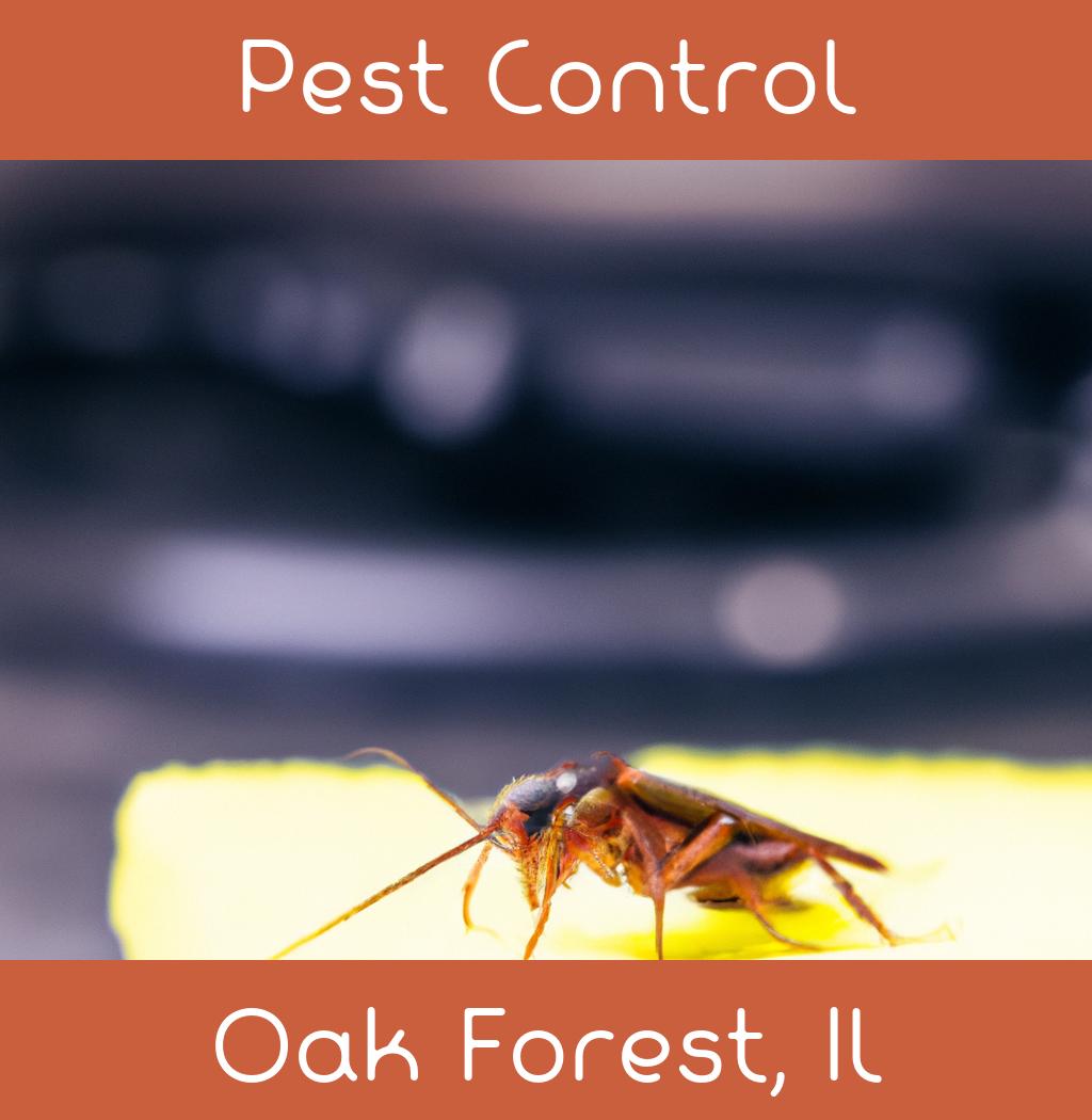 pest control in Oak Forest Illinois