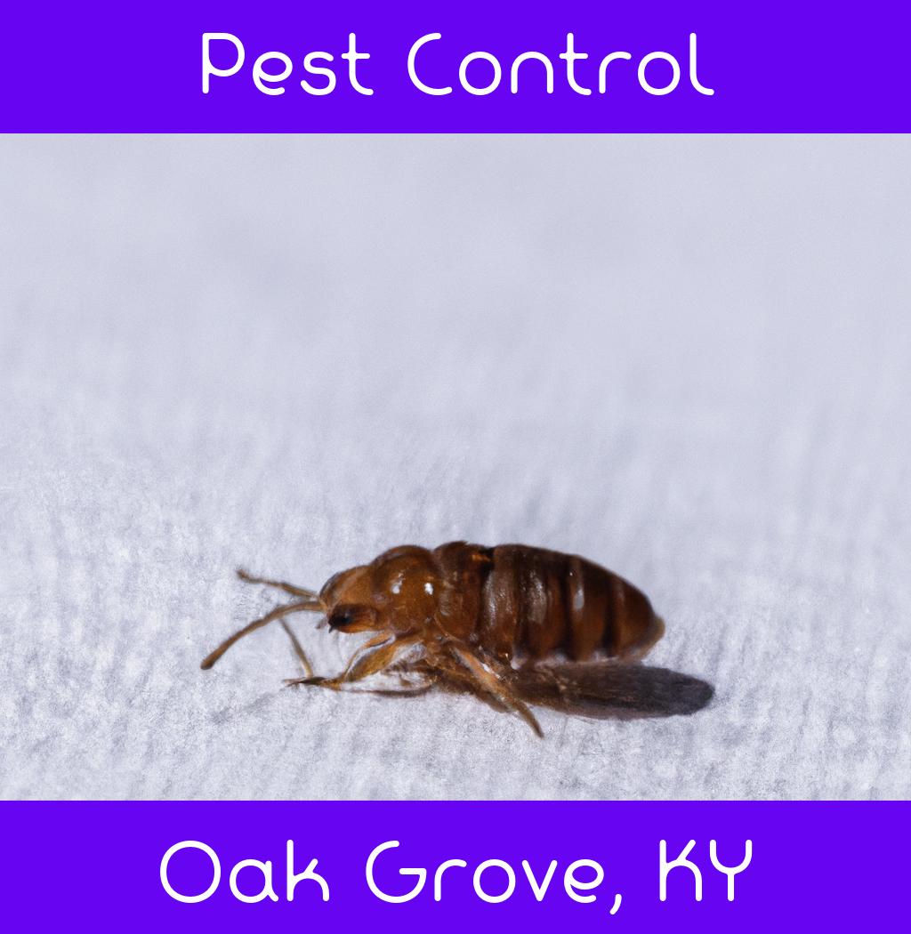 pest control in Oak Grove Kentucky
