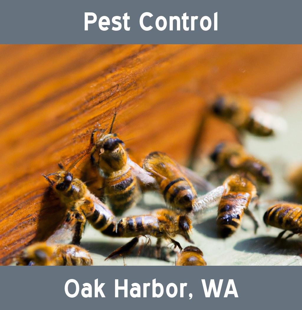 pest control in Oak Harbor Washington