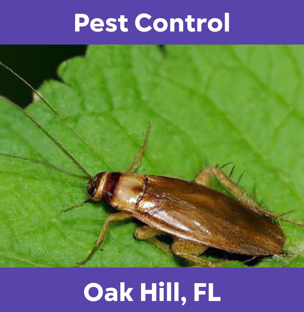 pest control in Oak Hill Florida