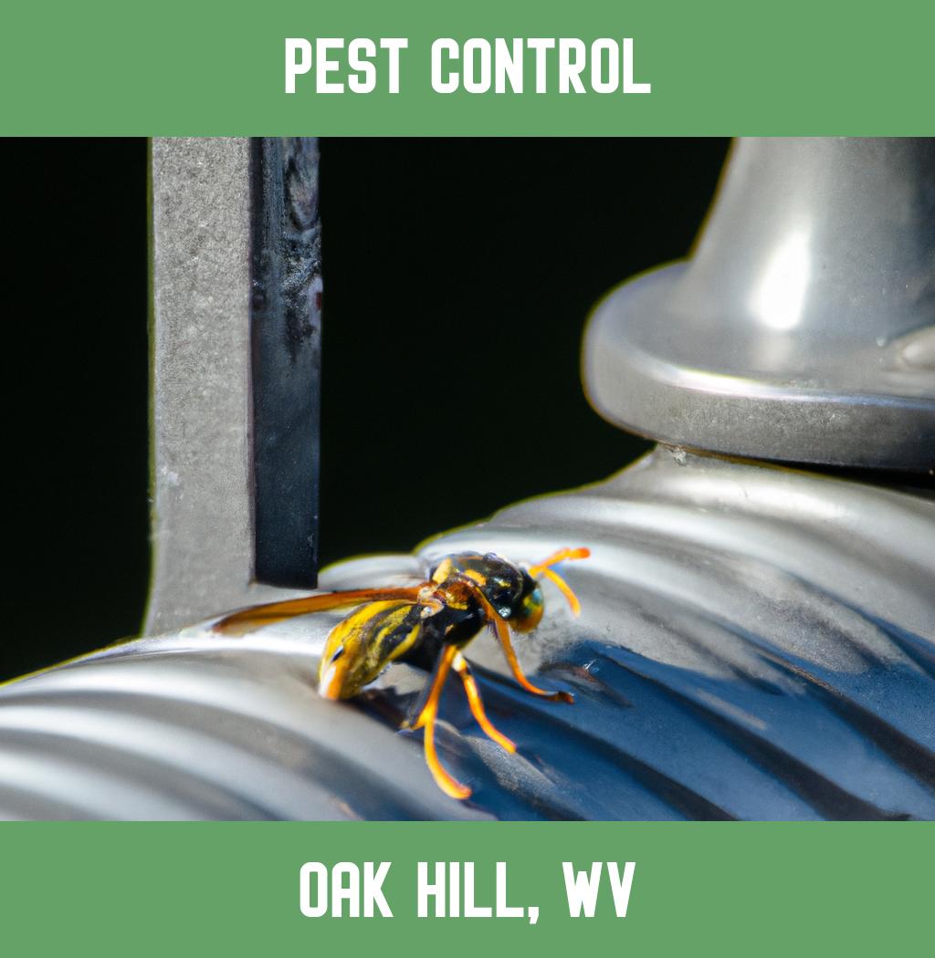 pest control in Oak Hill West Virginia