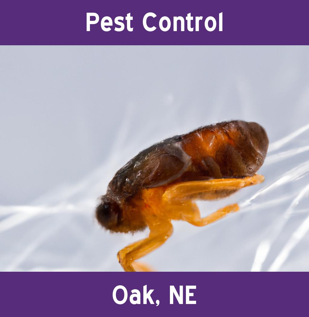 pest control in Oak Nebraska