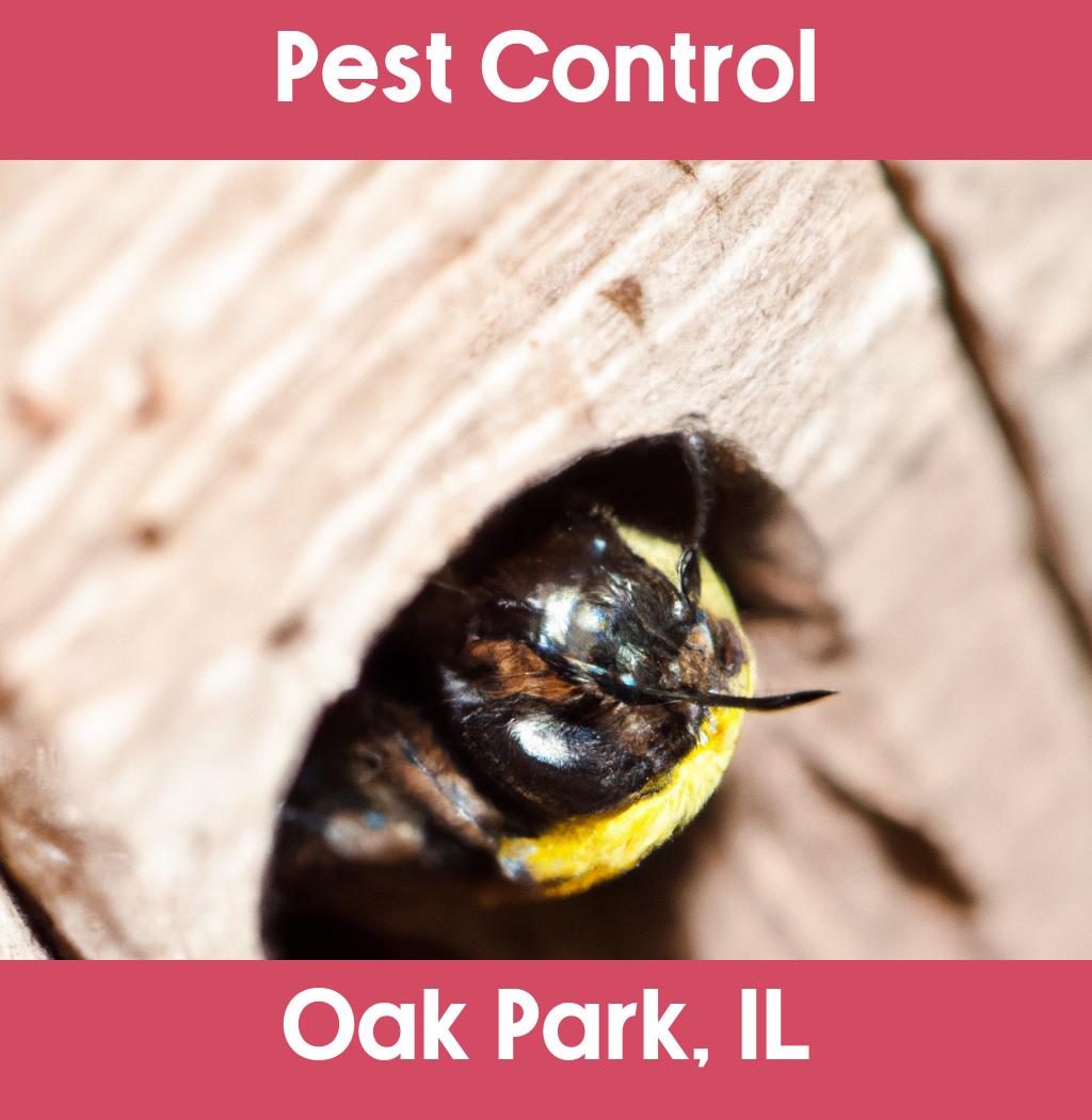 pest control in Oak Park Illinois