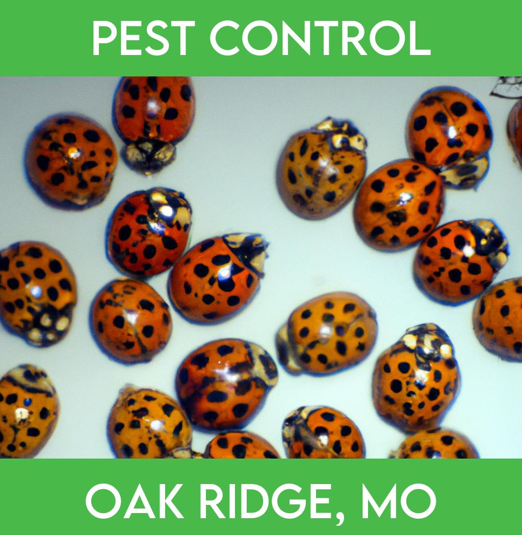 pest control in Oak Ridge Missouri
