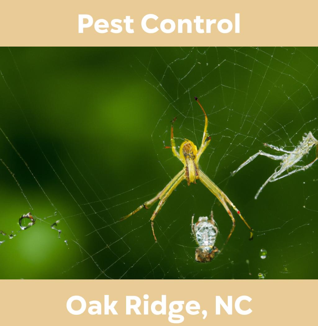 pest control in Oak Ridge North Carolina