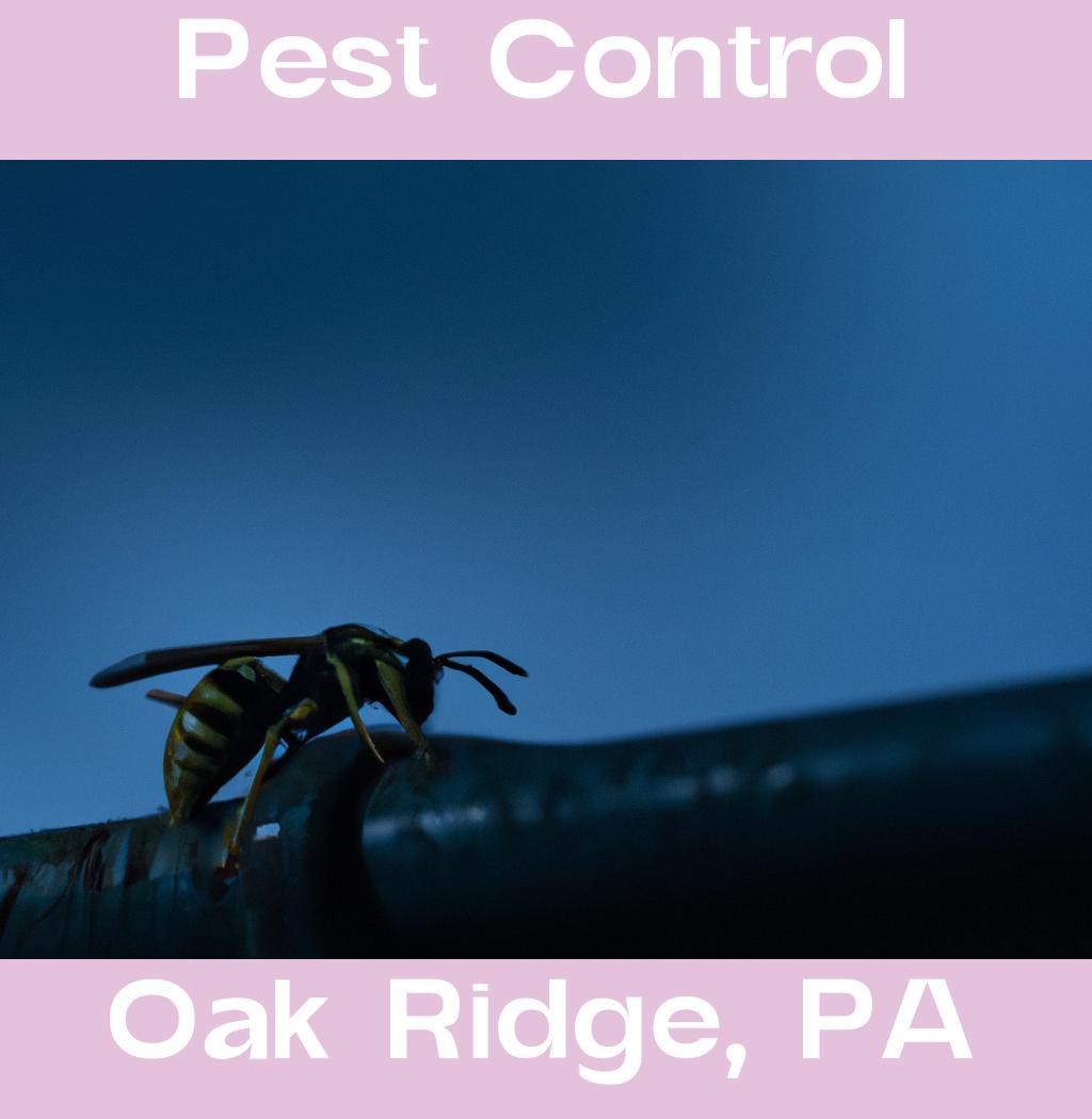 pest control in Oak Ridge Pennsylvania