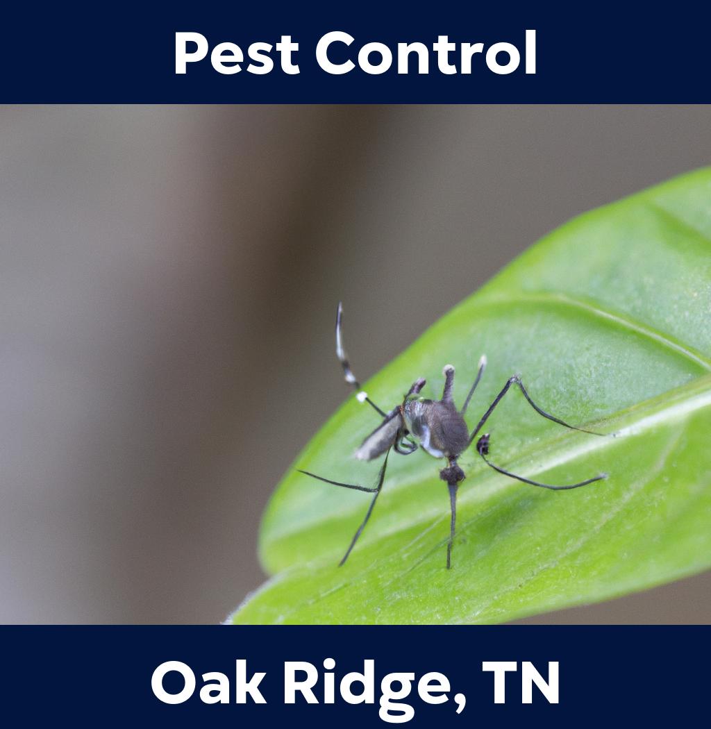 pest control in Oak Ridge Tennessee