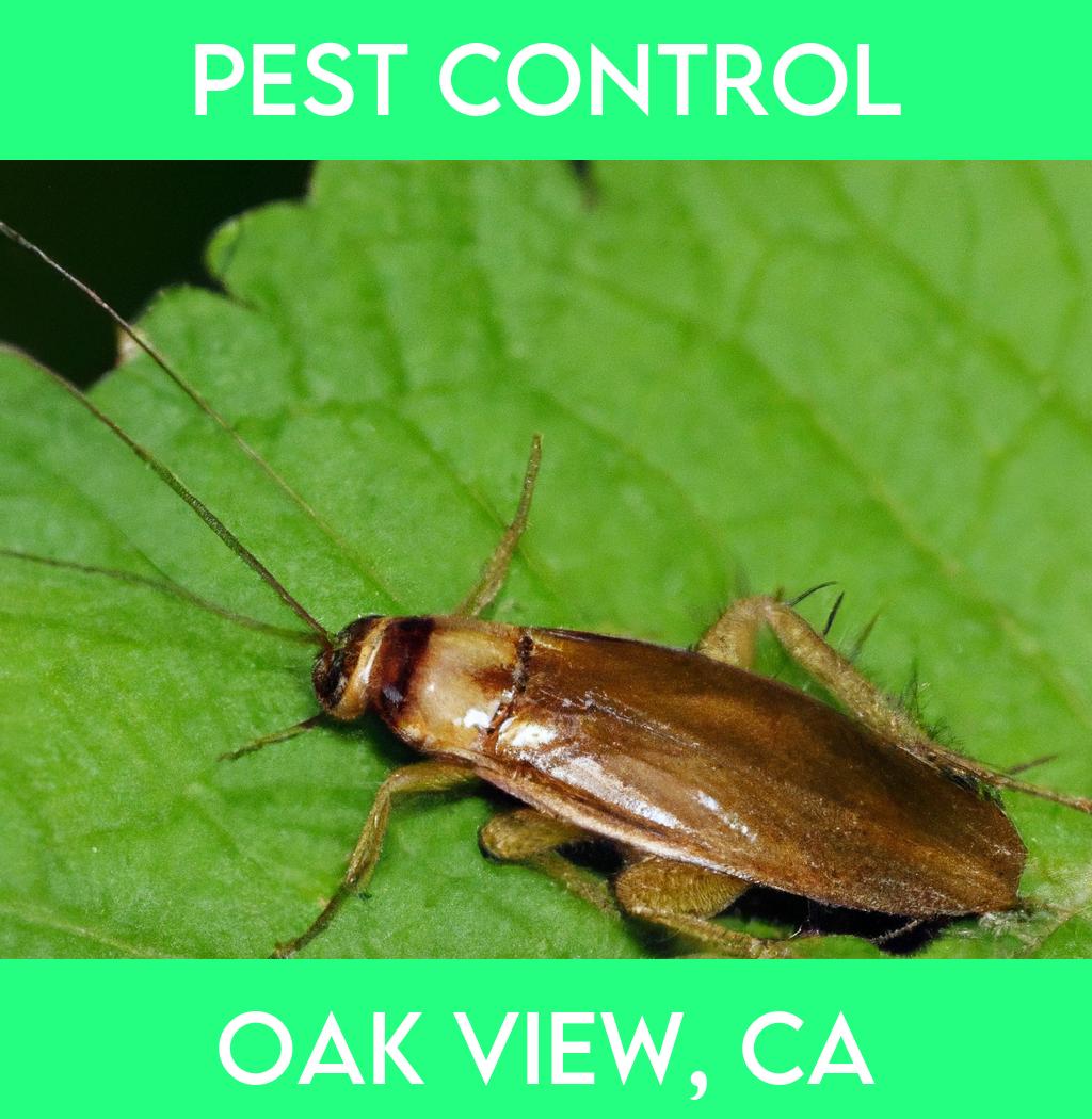 pest control in Oak View California