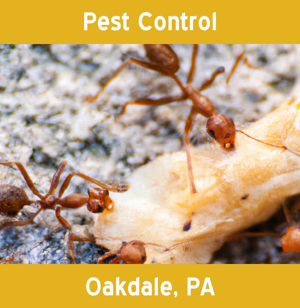 pest control in Oakdale Pennsylvania