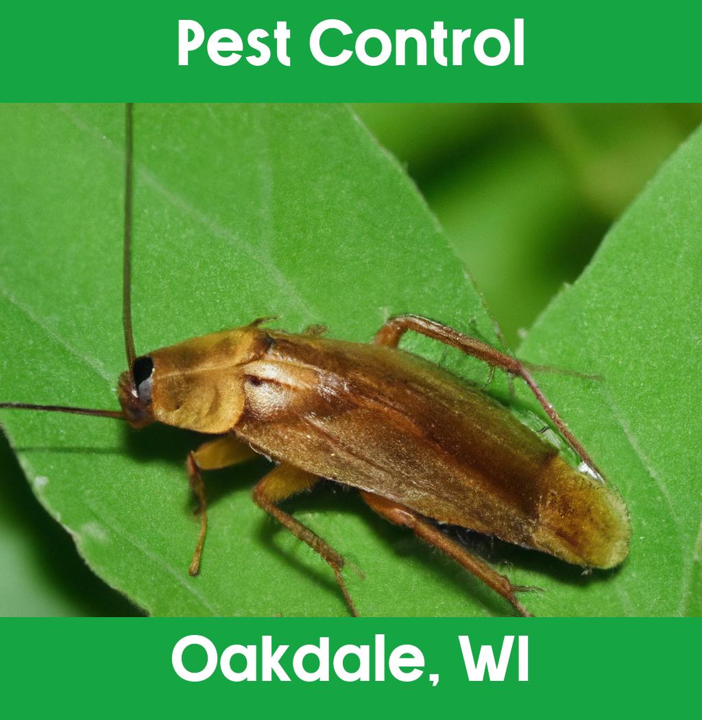 pest control in Oakdale Wisconsin