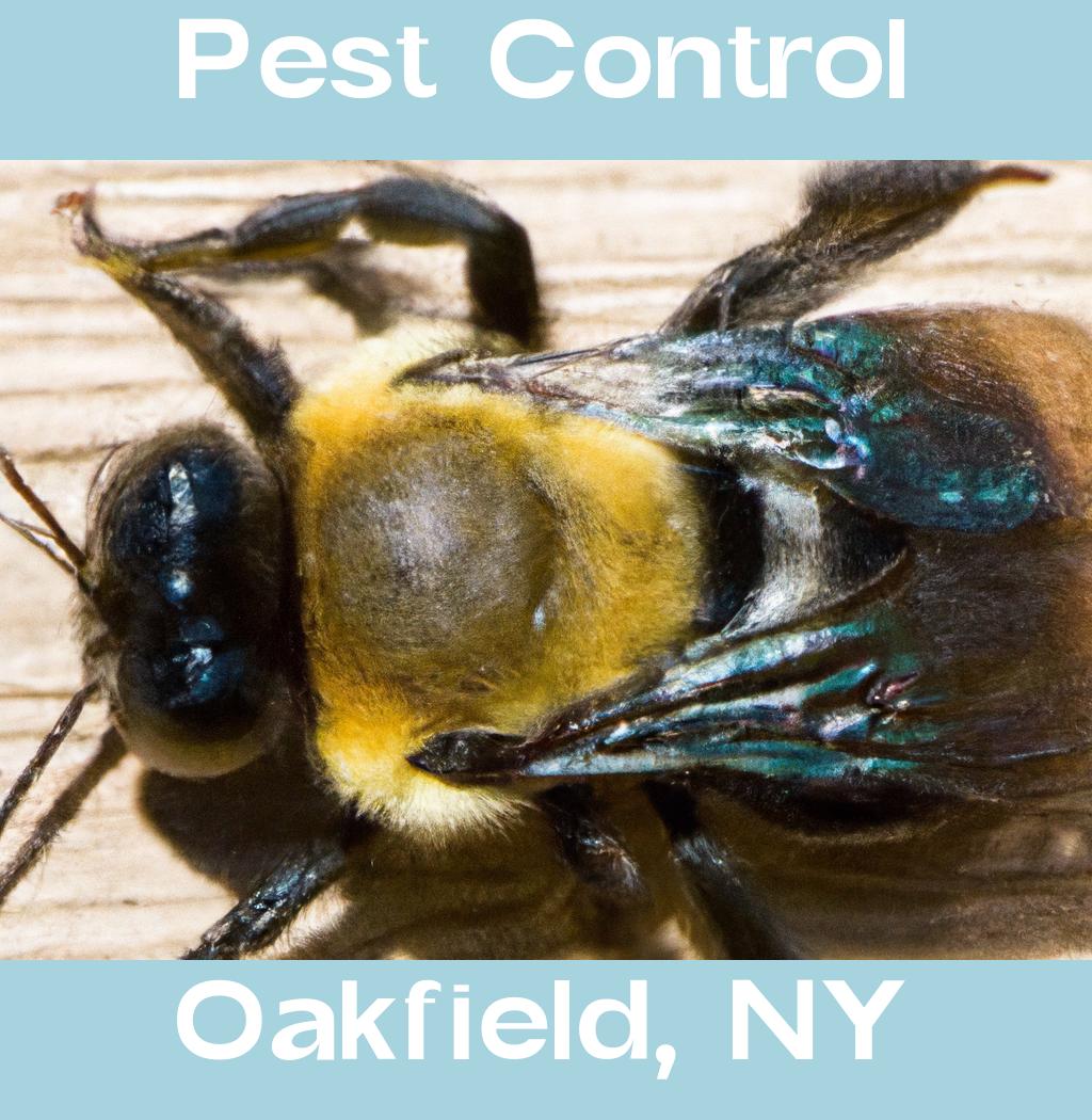 pest control in Oakfield New York