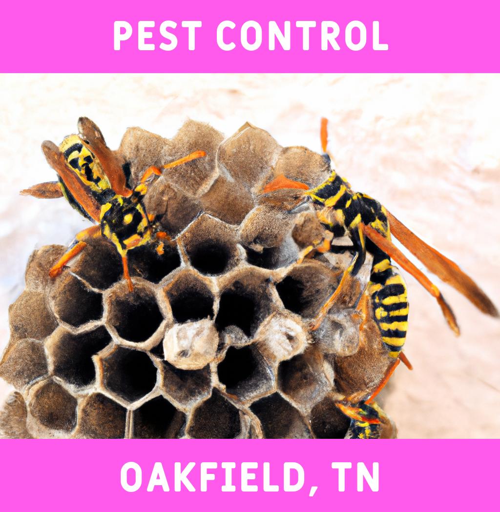 pest control in Oakfield Tennessee
