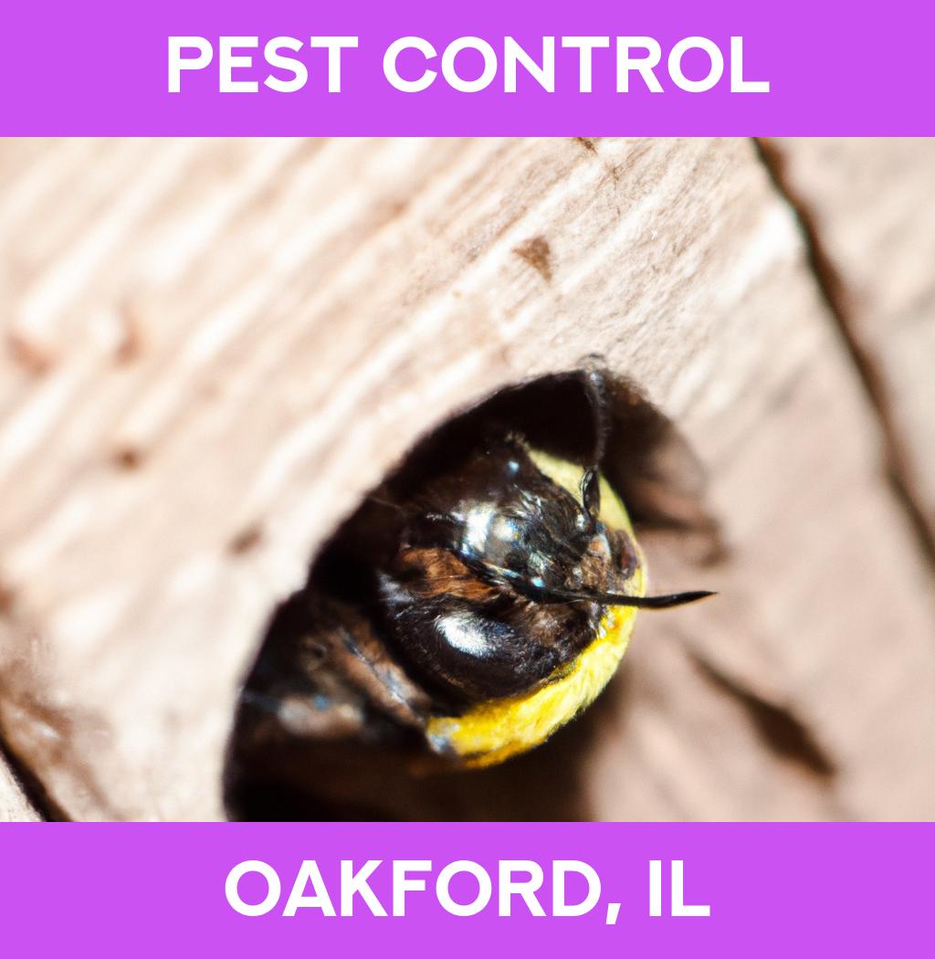 pest control in Oakford Illinois
