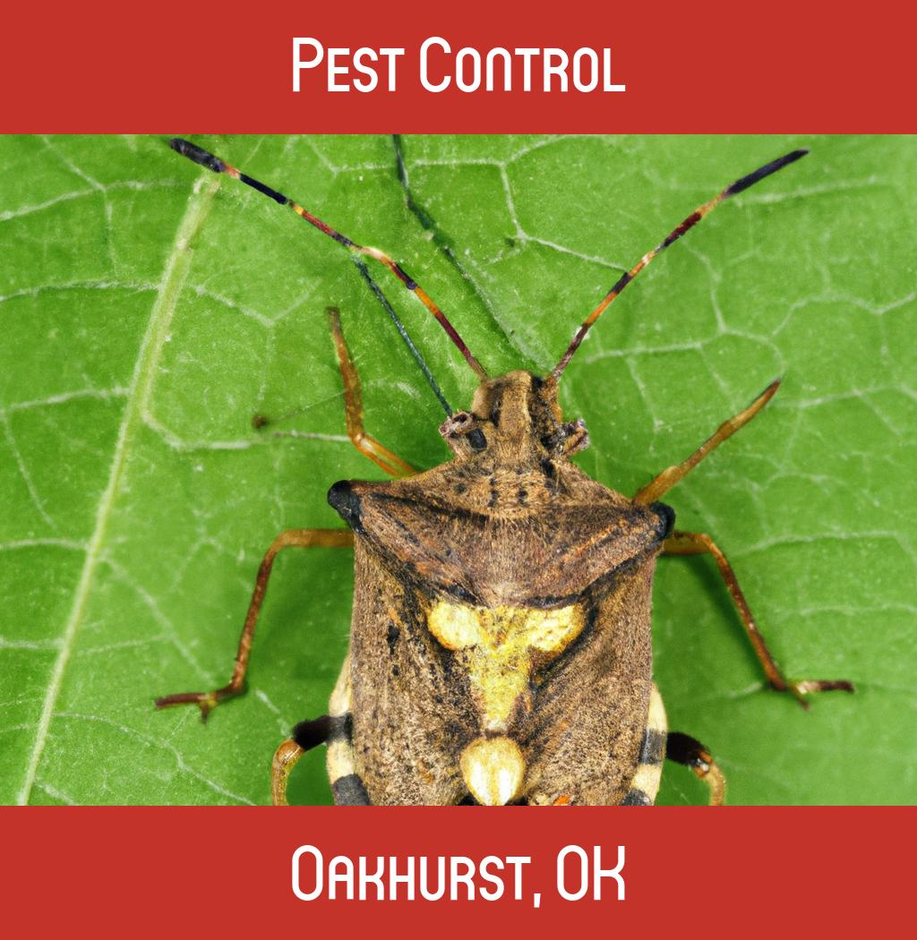 pest control in Oakhurst Oklahoma