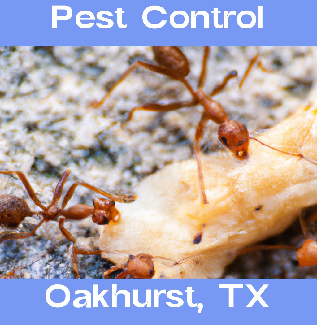 pest control in Oakhurst Texas