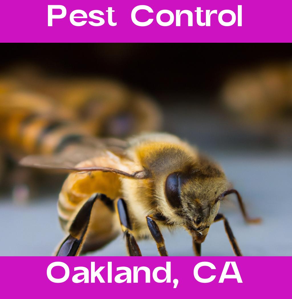 pest control in Oakland California