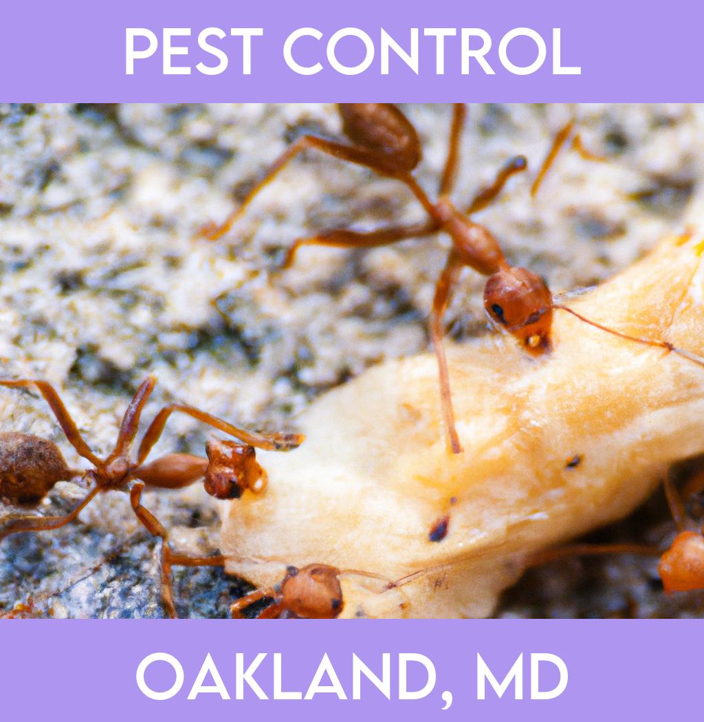 pest control in Oakland Maryland