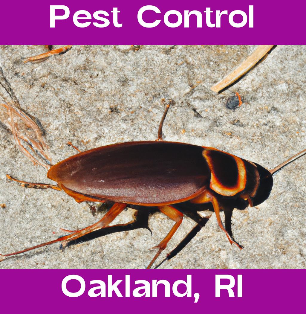 pest control in Oakland Rhode Island
