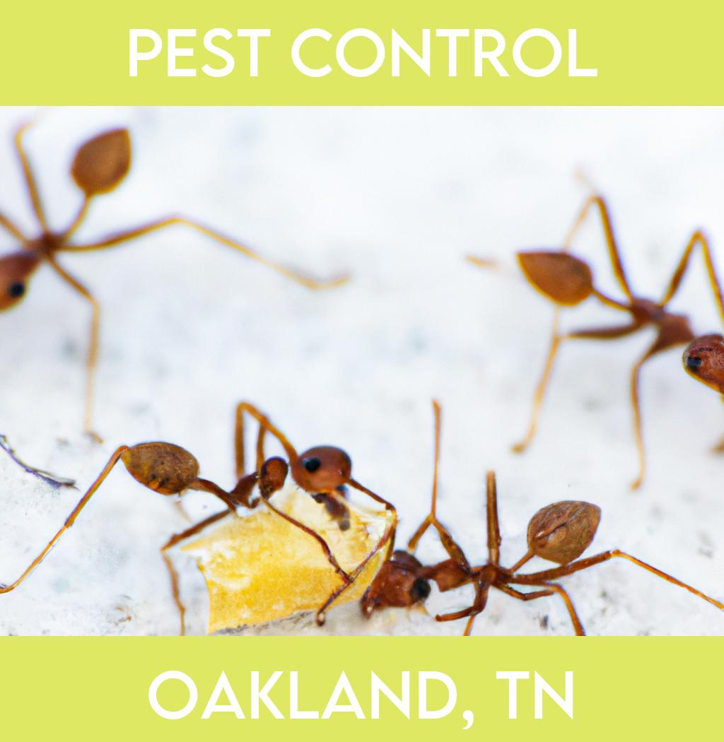 pest control in Oakland Tennessee