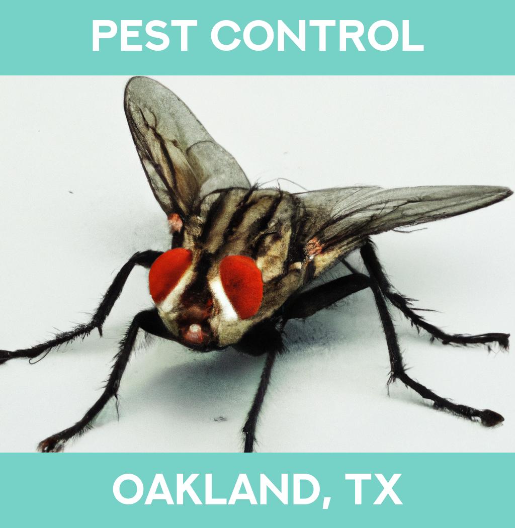 pest control in Oakland Texas