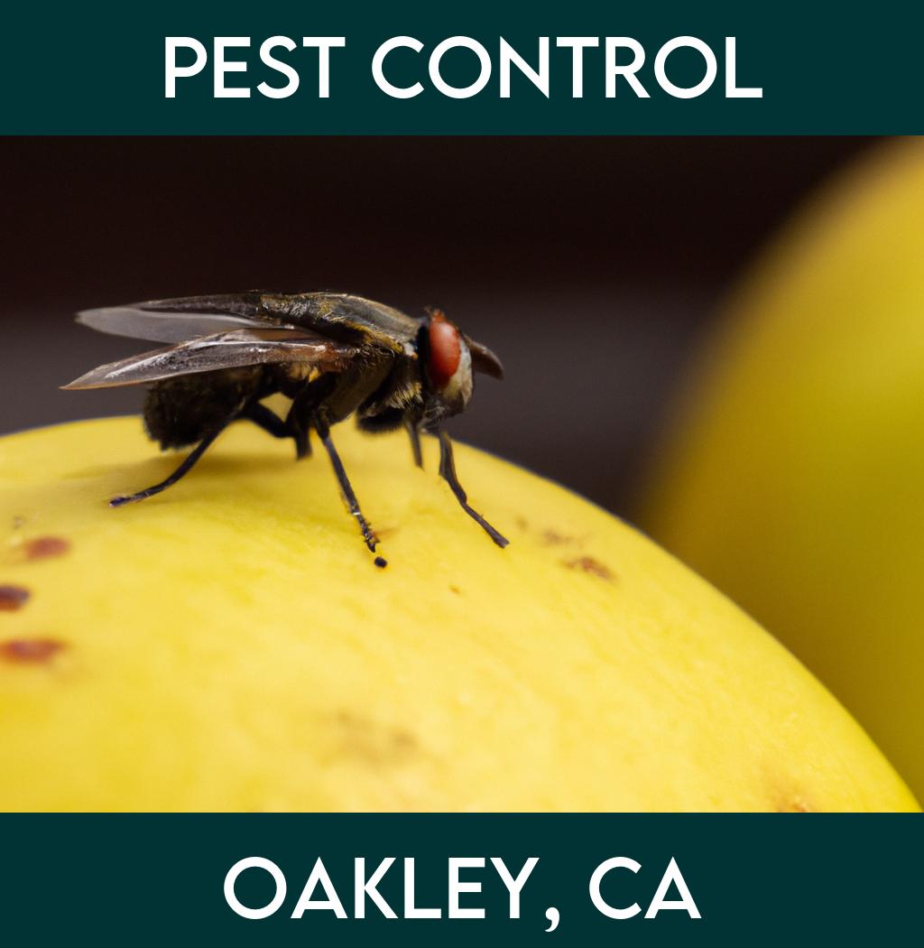 pest control in Oakley California