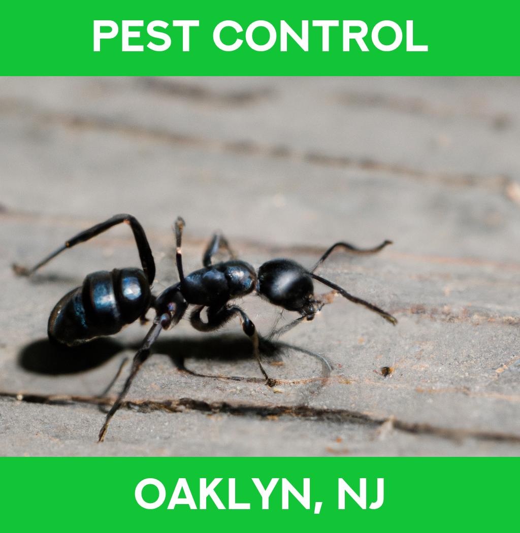 pest control in Oaklyn New Jersey