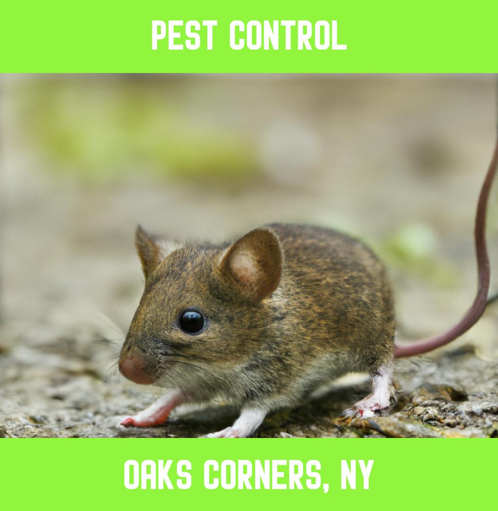 pest control in Oaks Corners New York