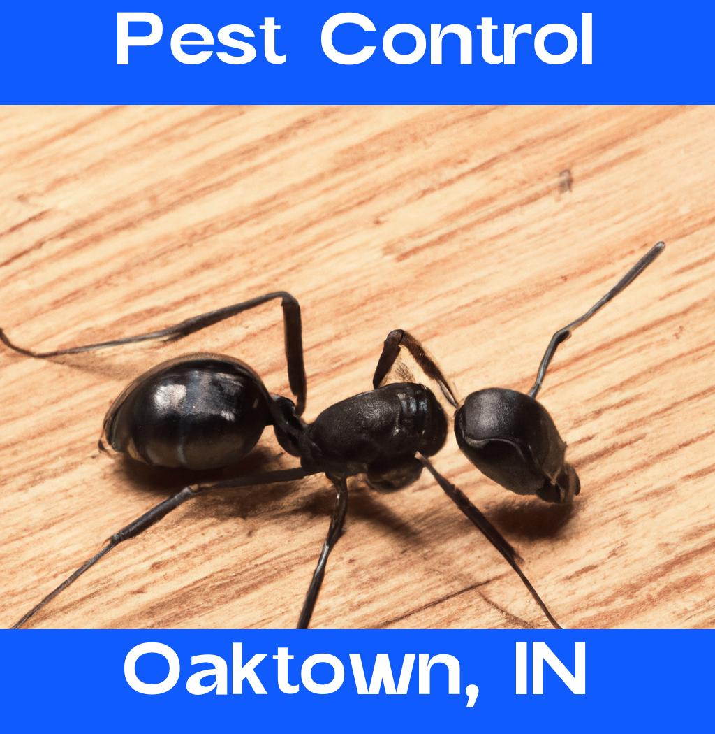 pest control in Oaktown Indiana