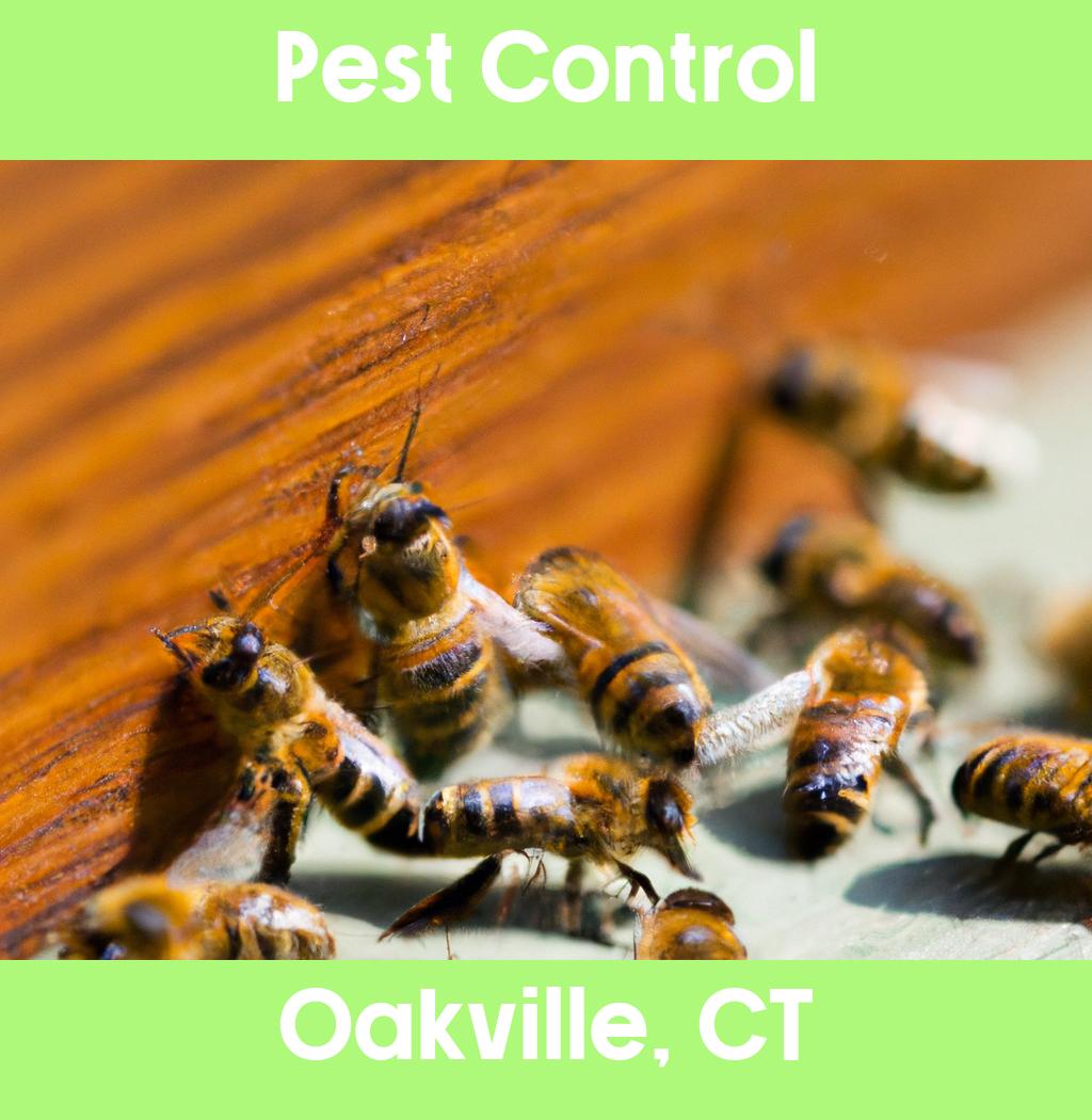pest control in Oakville Connecticut