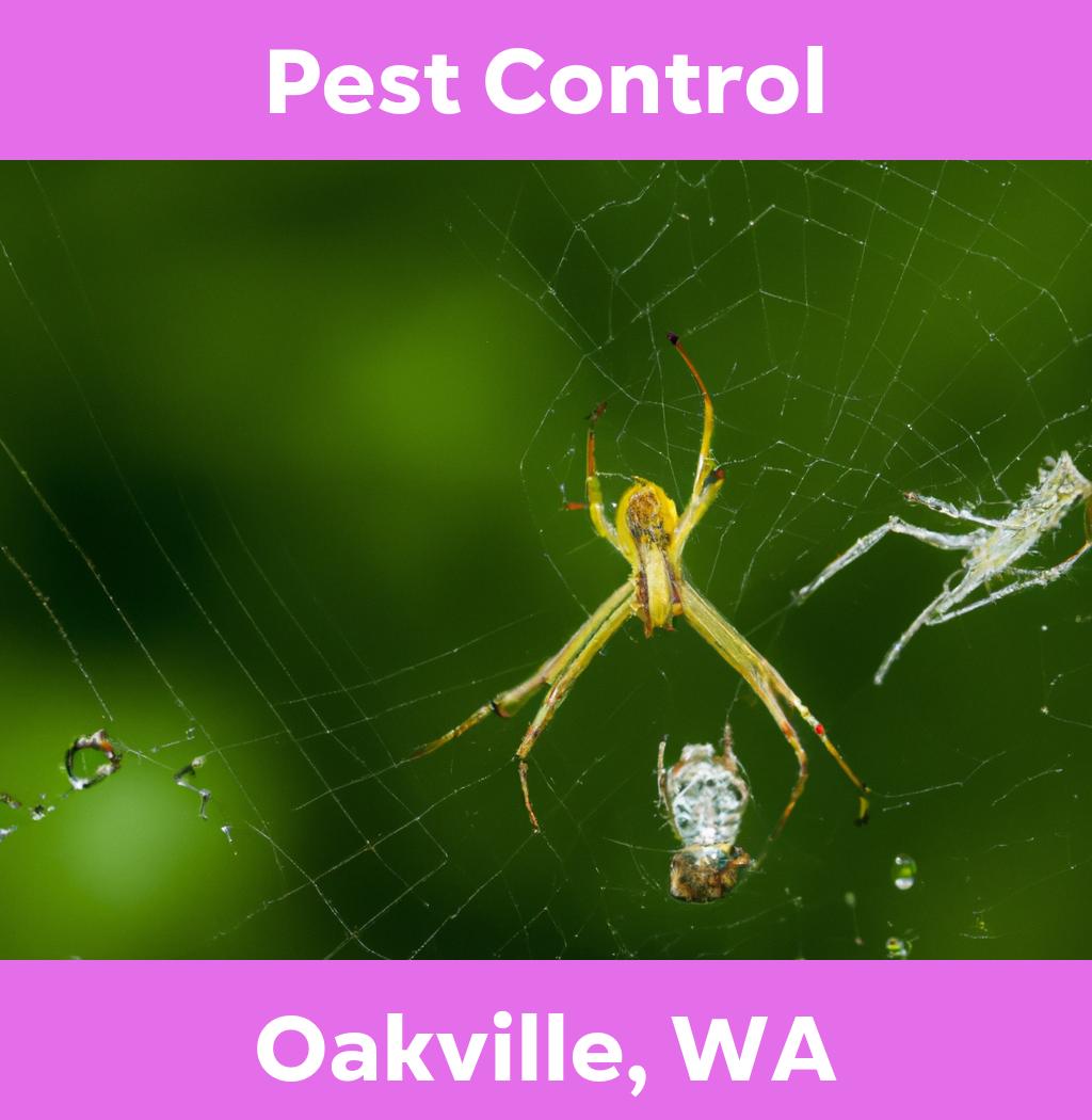 pest control in Oakville Washington