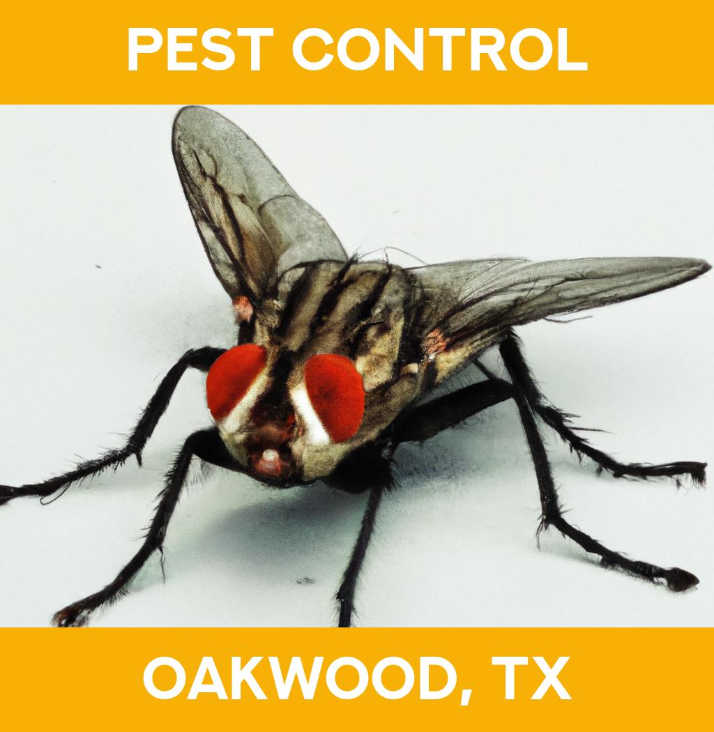 pest control in Oakwood Texas