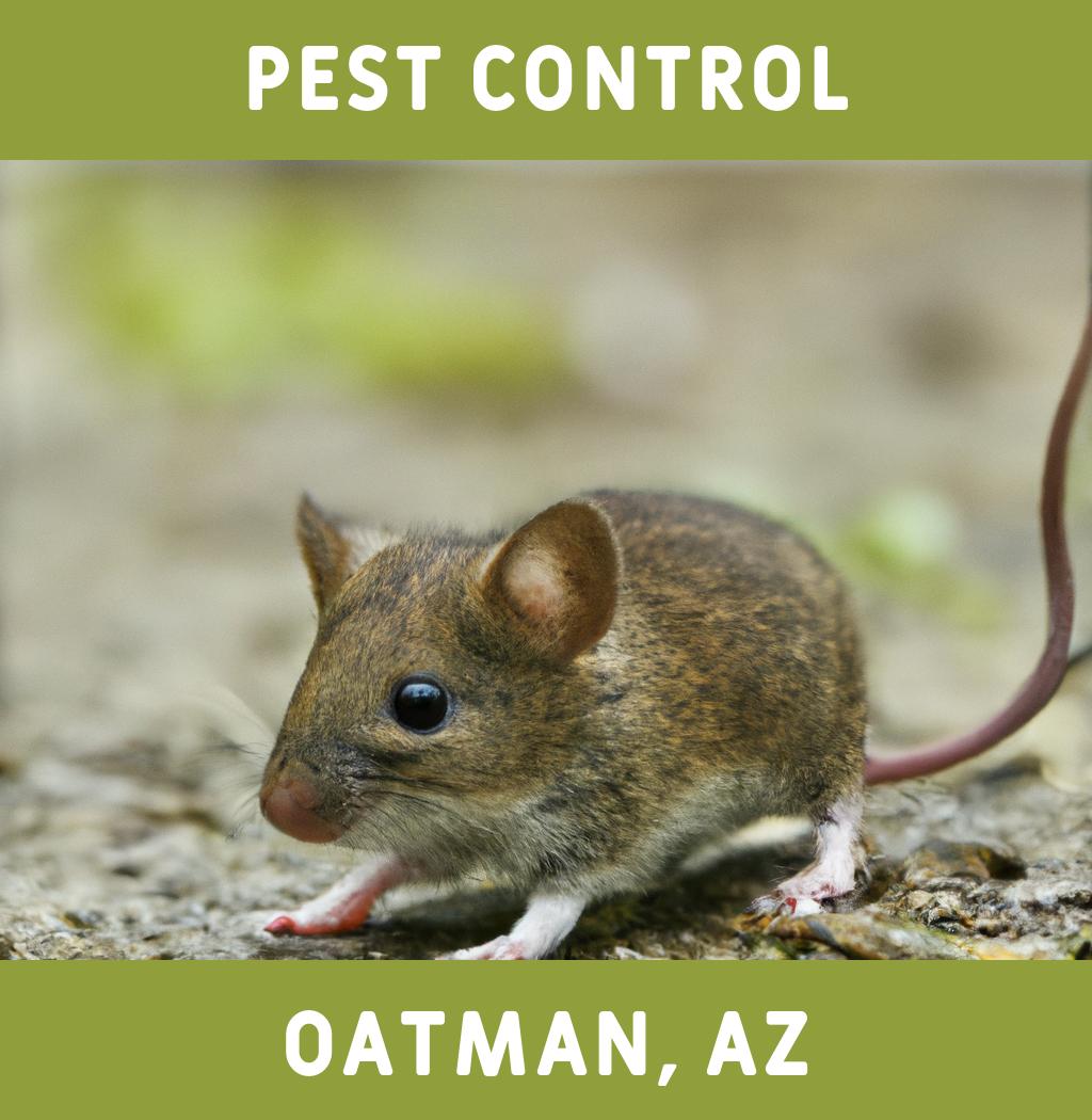 pest control in Oatman Arizona
