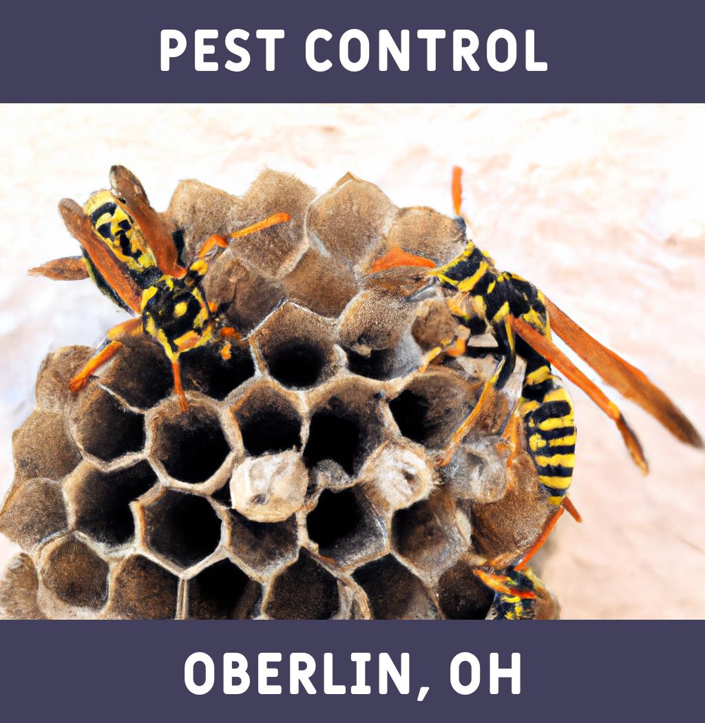 pest control in Oberlin Ohio