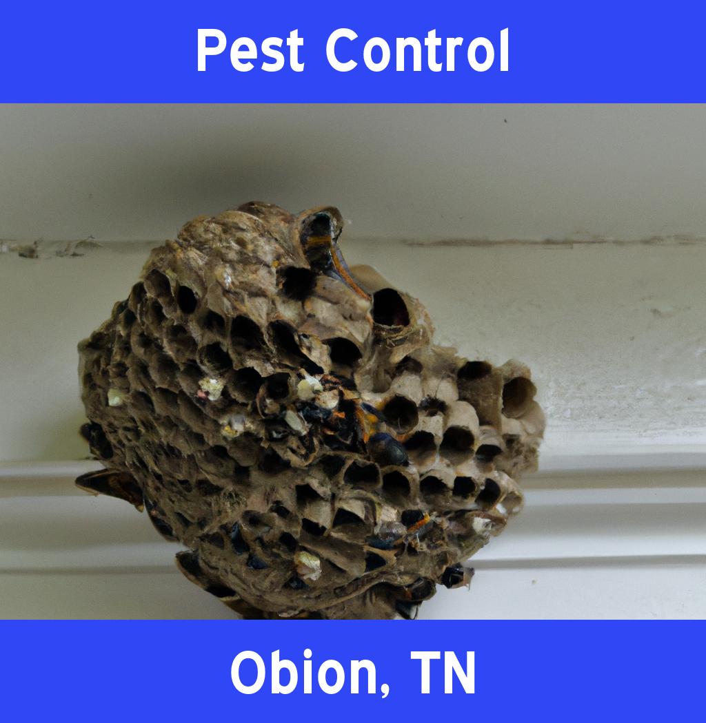 pest control in Obion Tennessee