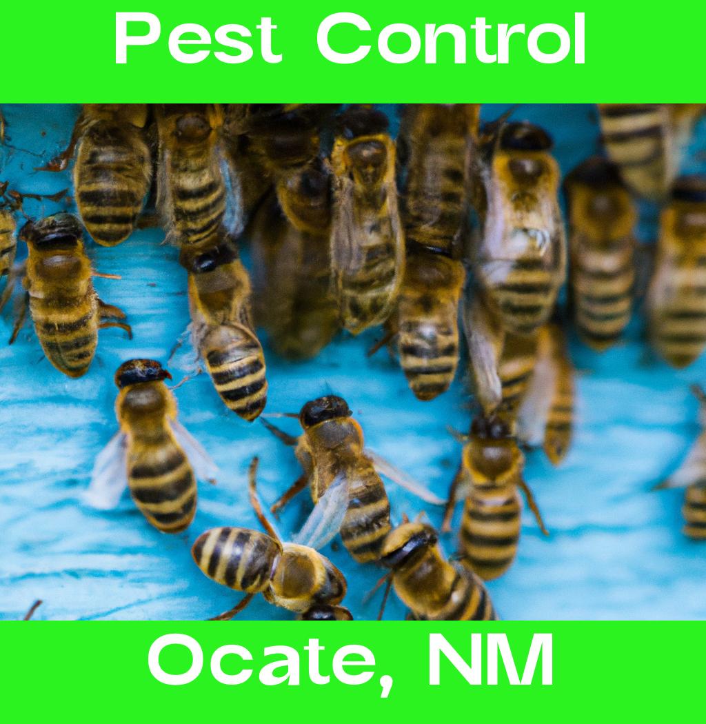 pest control in Ocate New Mexico