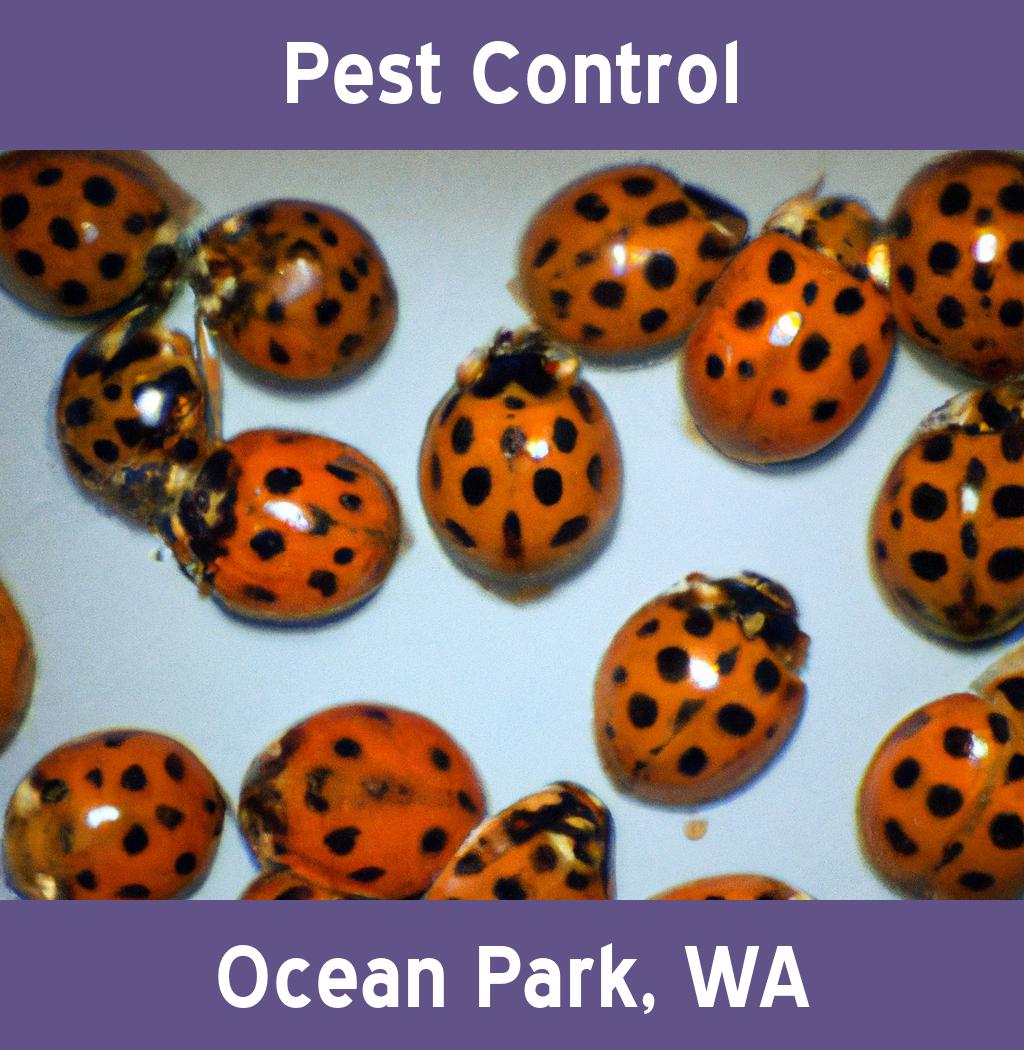 pest control in Ocean Park Washington