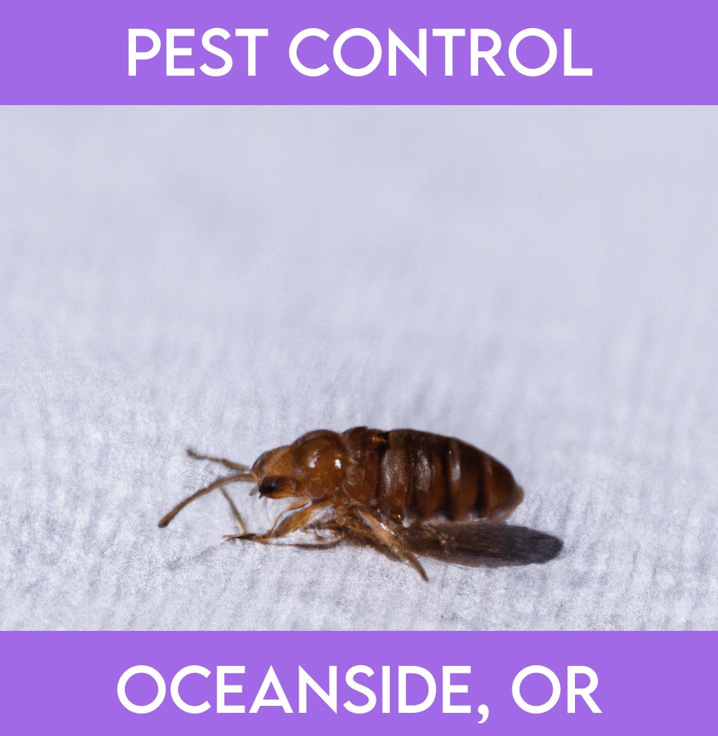 pest control in Oceanside Oregon