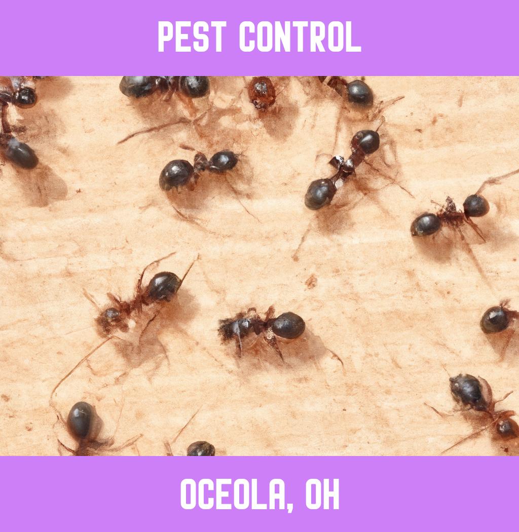 pest control in Oceola Ohio