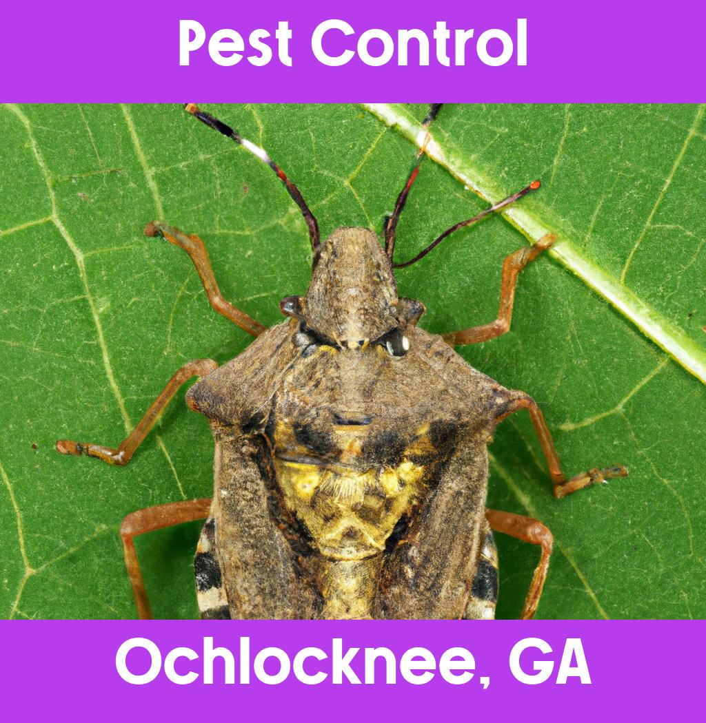 pest control in Ochlocknee Georgia