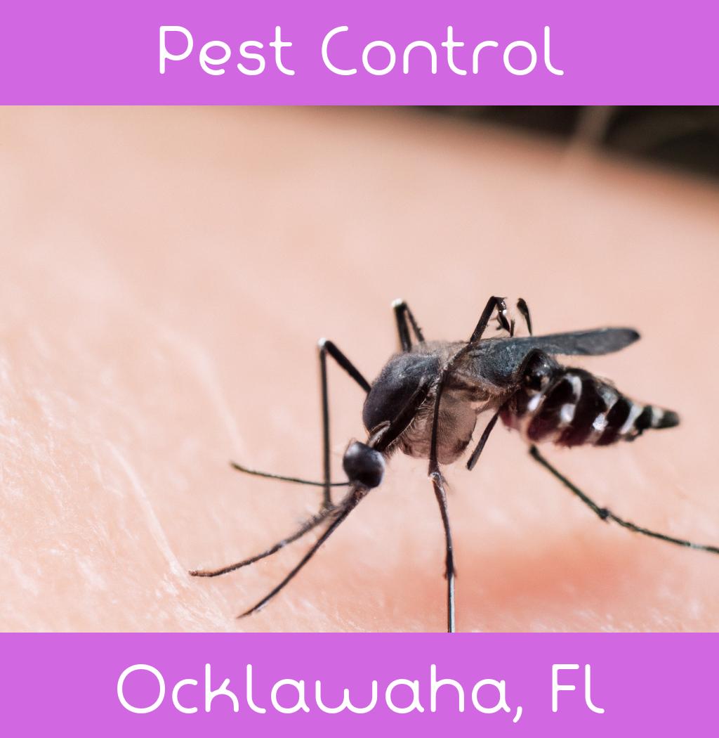 pest control in Ocklawaha Florida