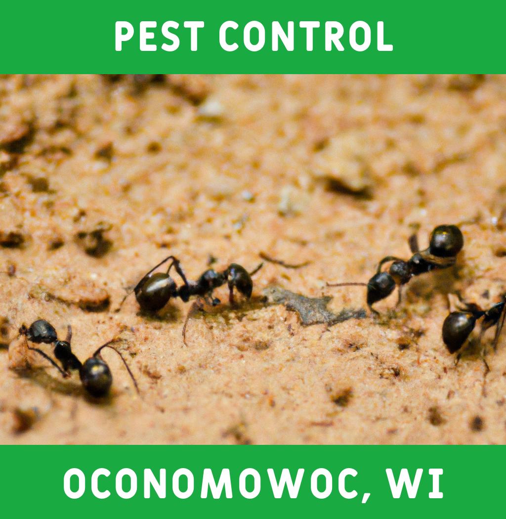 pest control in Oconomowoc Wisconsin