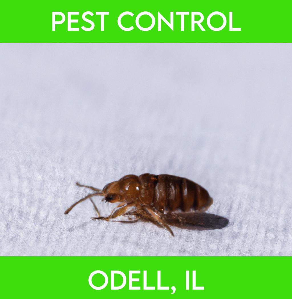 pest control in Odell Illinois