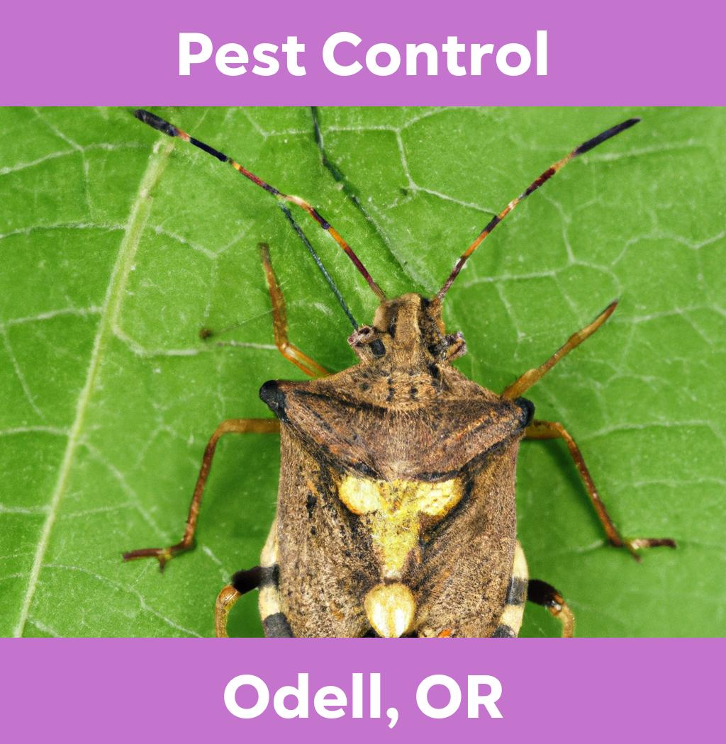 pest control in Odell Oregon