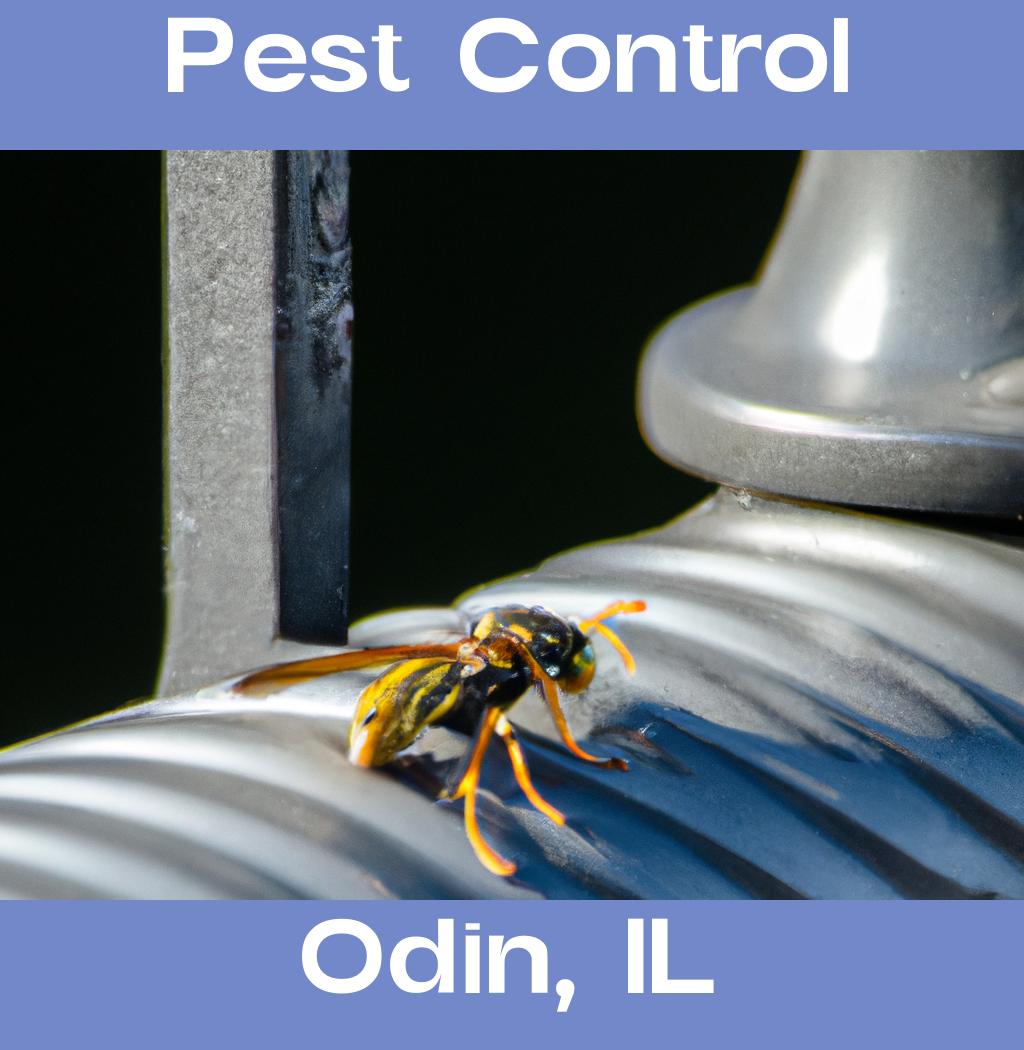 pest control in Odin Illinois